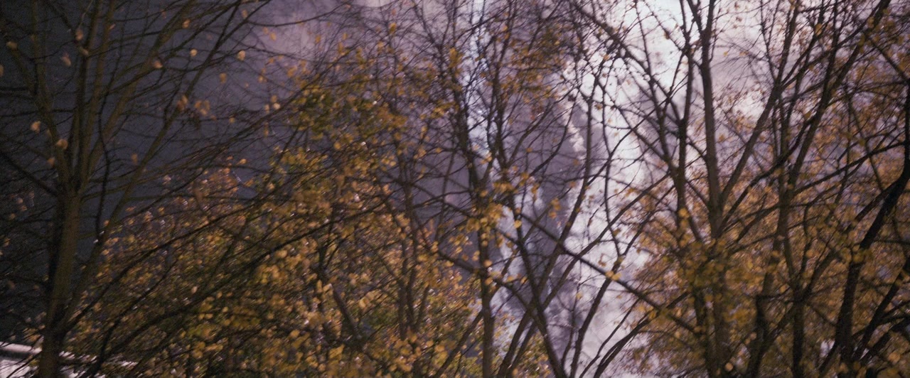 Dheepan (2015), wide, 2.41:1 — film still