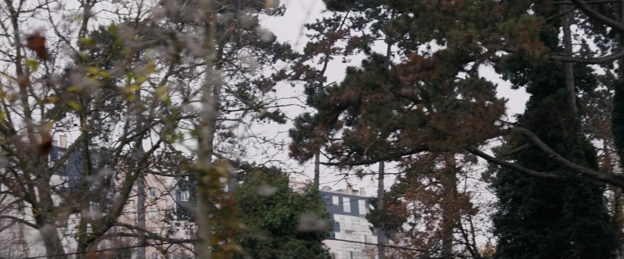 Dheepan (2015), wide, 2.41:1 — film still