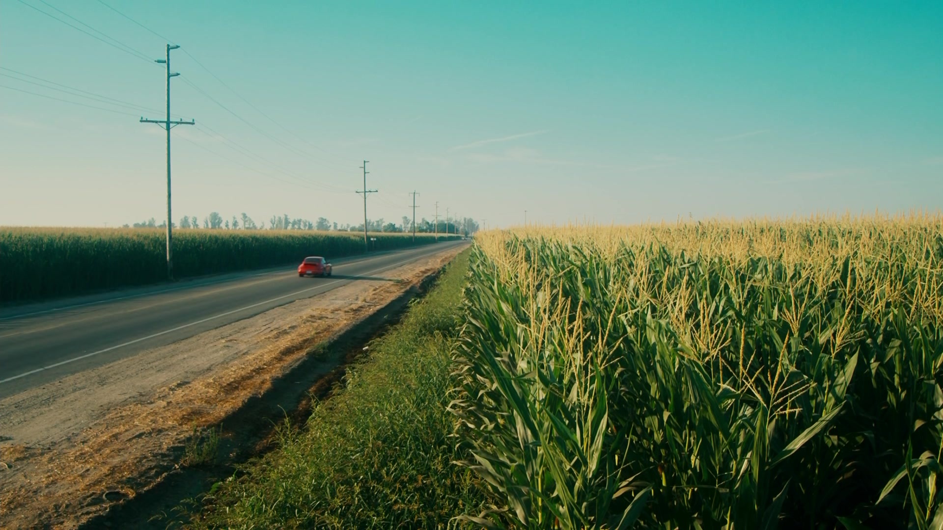 The Informant! (2009), unknown, 1.78:1 — film still