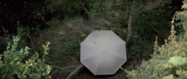 Wide shot frame from For Your Eyes Only — bed, umbrella, forest