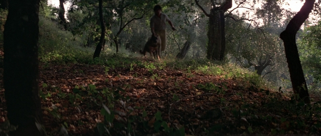 Wide shot frame from For Your Eyes Only — standing, walking, animal