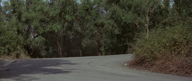 Wide shot frame from For Your Eyes Only — street, willow