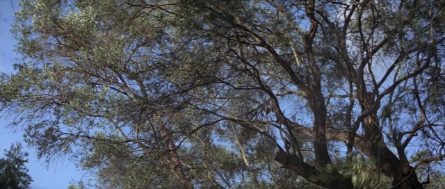 Wide shot frame from For Your Eyes Only — willow