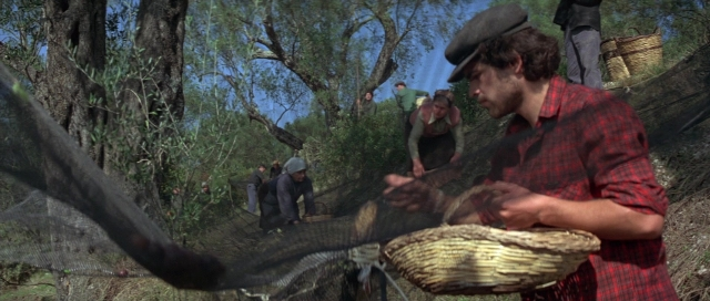 seria-1690020.jpg