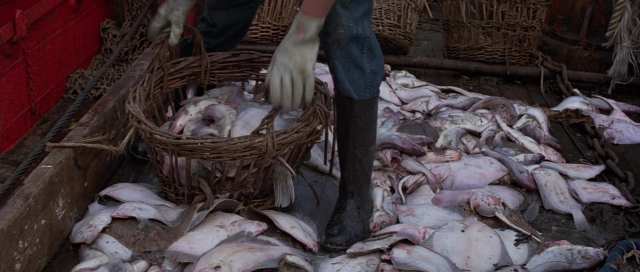 Wide shot frame from For Your Eyes Only — fish, person