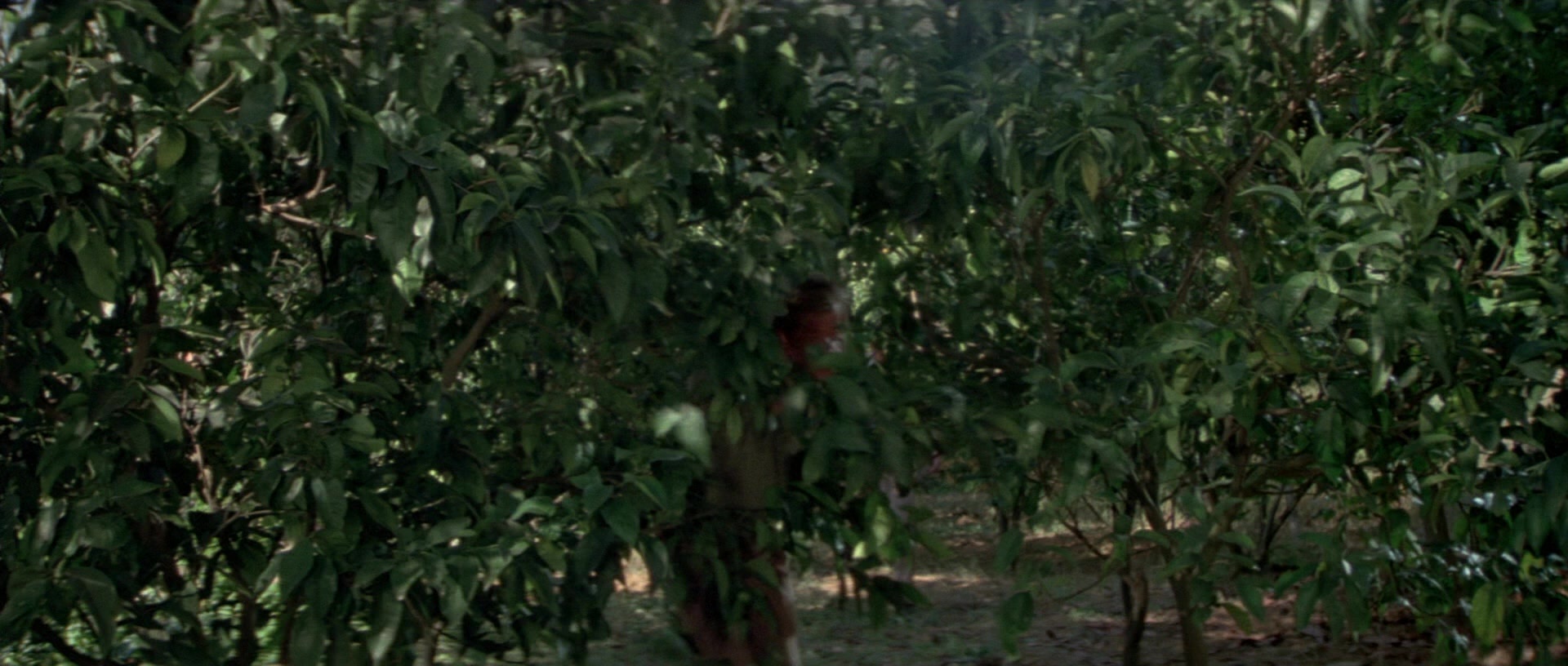 For Your Eyes Only (1981), wide, 2.35:1 — film still