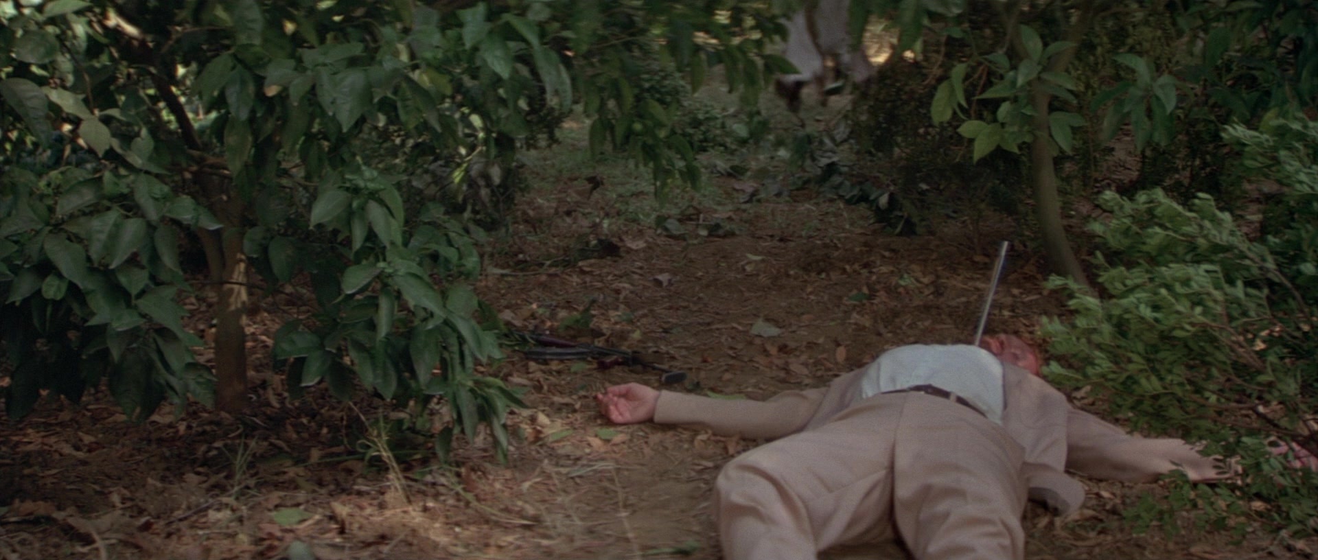 For Your Eyes Only (1981), wide, 2.35:1 — film still