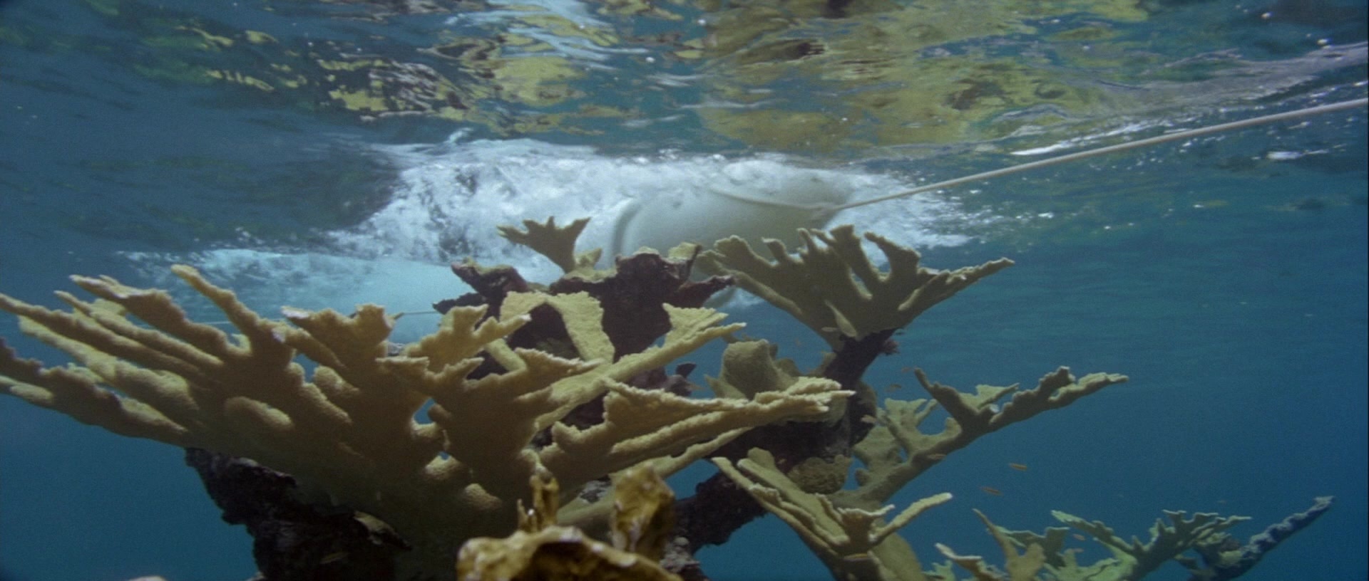 For Your Eyes Only (1981), unknown, 2.35:1 — film still