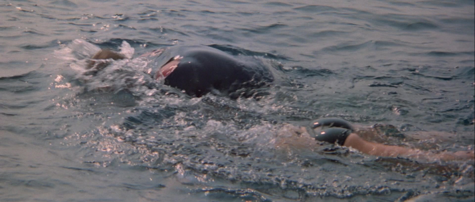 For Your Eyes Only (1981), wide, 2.35:1 — film still