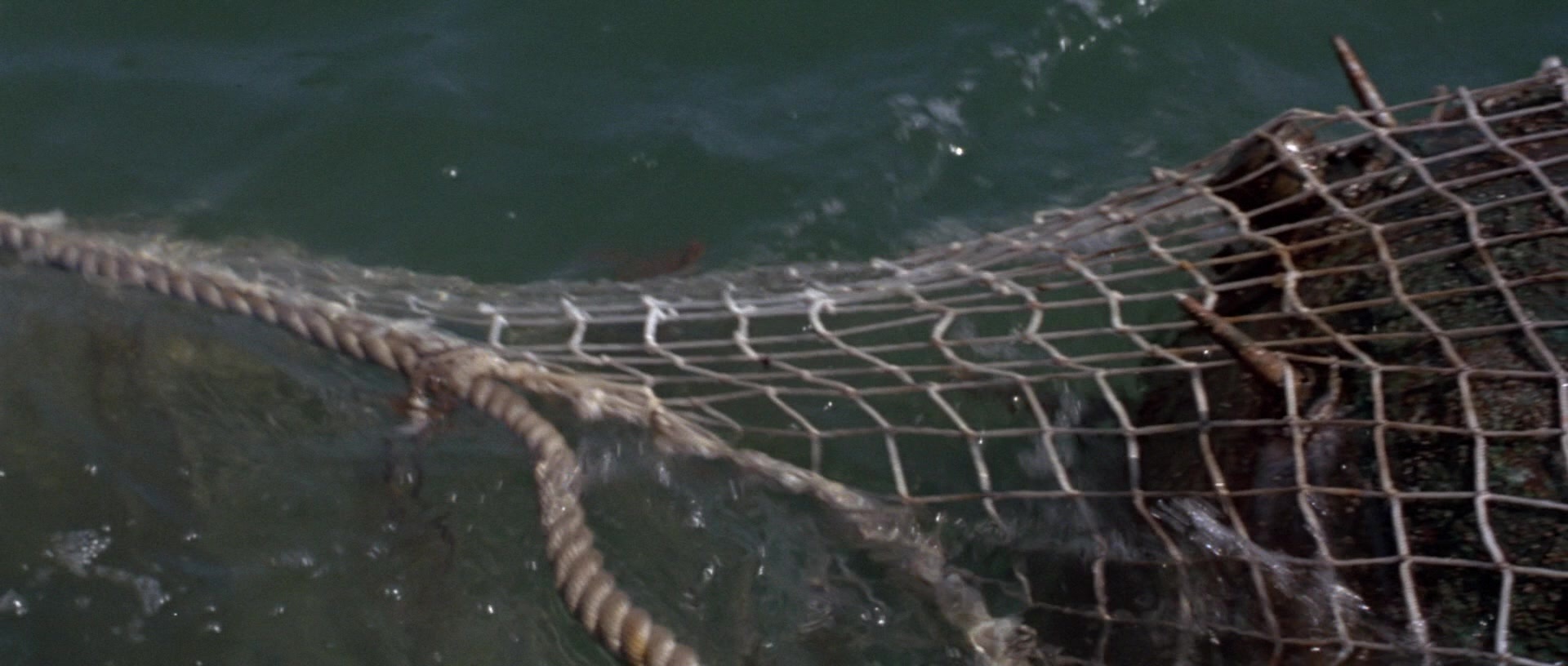 For Your Eyes Only (1981), wide, 2.35:1 — film still