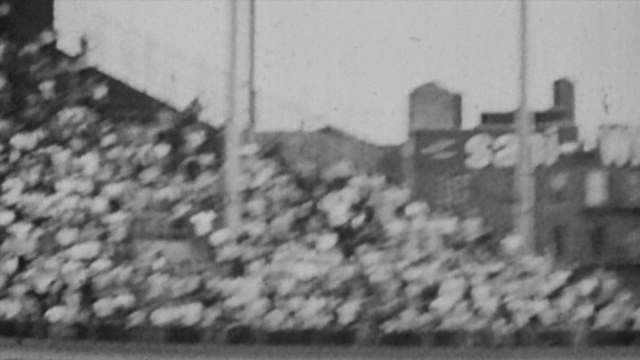 seria-191650.jpg