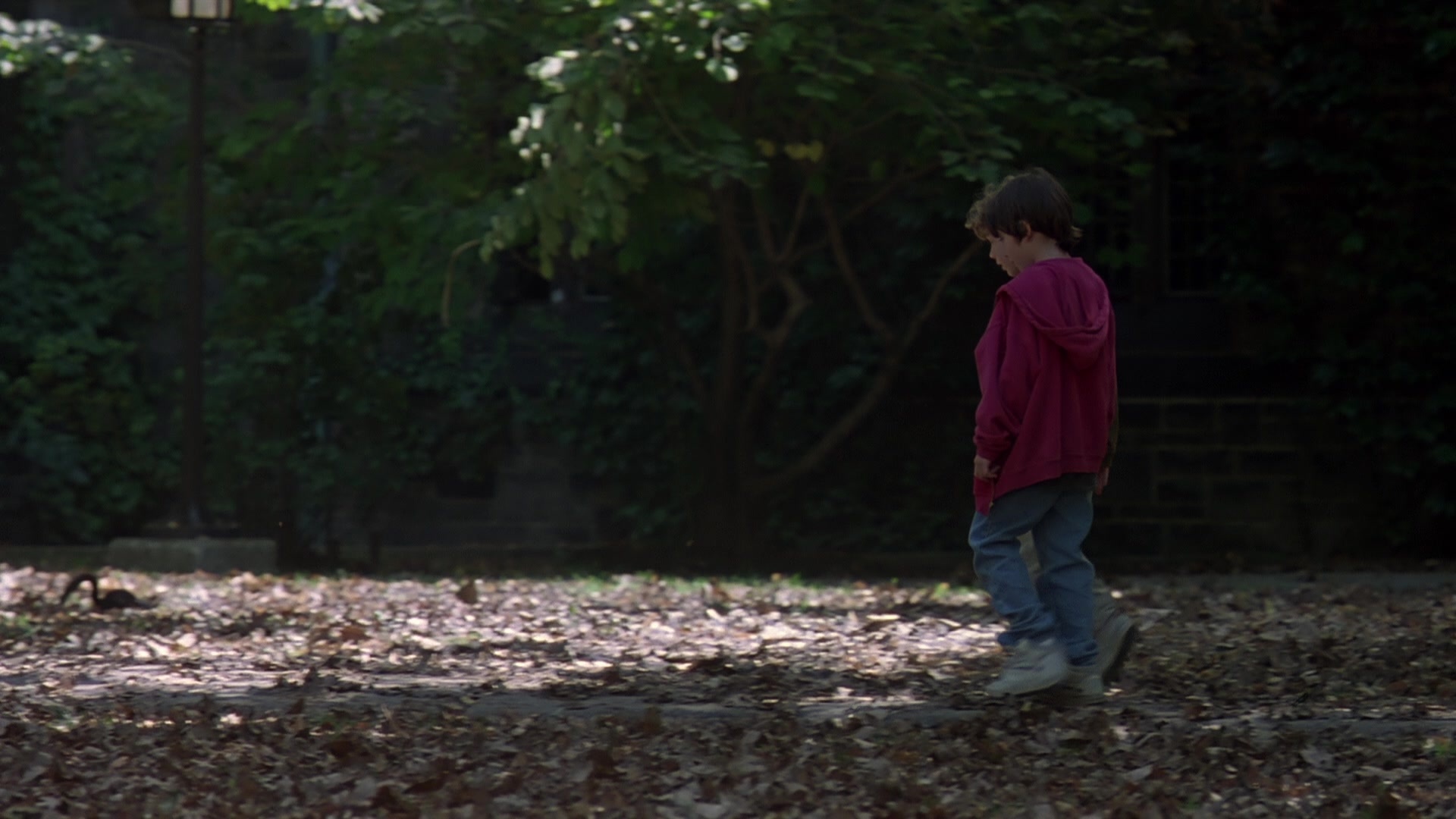 Searching for Bobby Fischer (1993), wide, 1.78:1 — film still