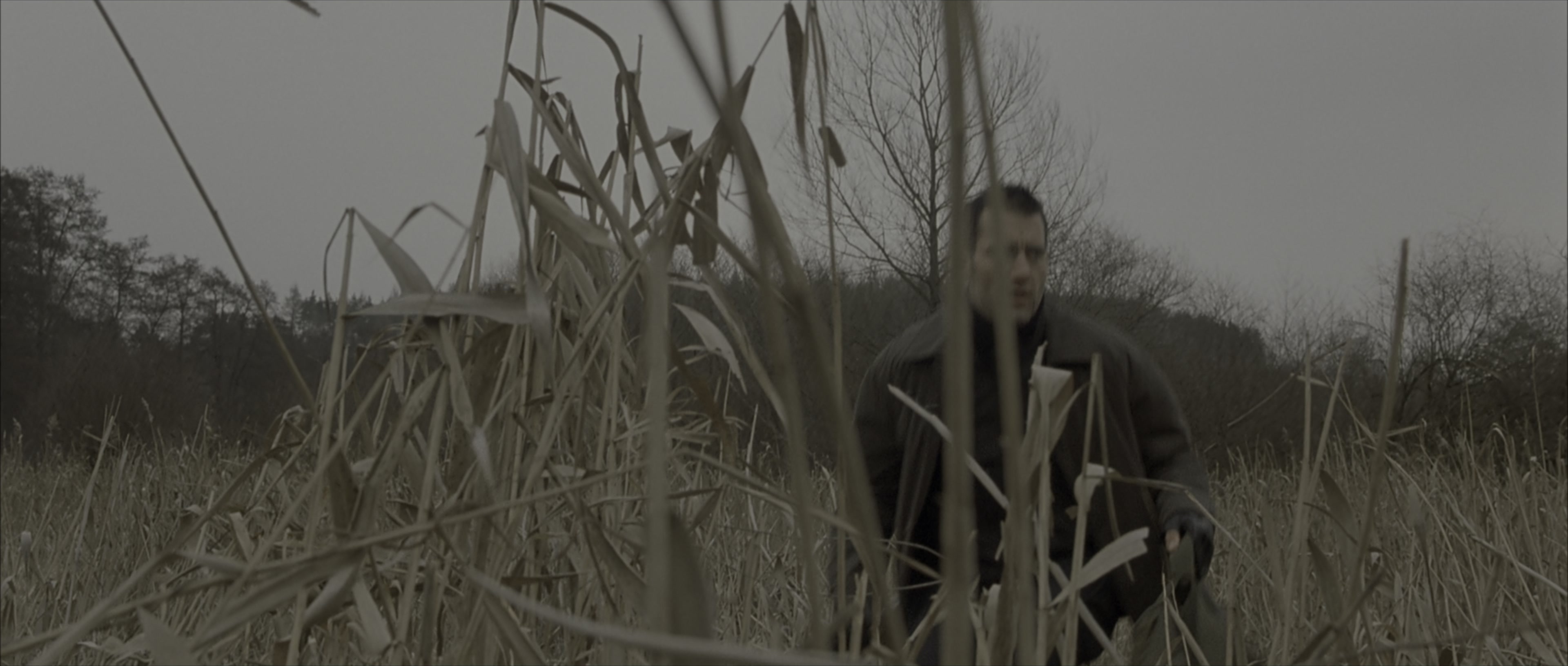 The Bourne Identity (2002), wide, 2.35:1 — film still