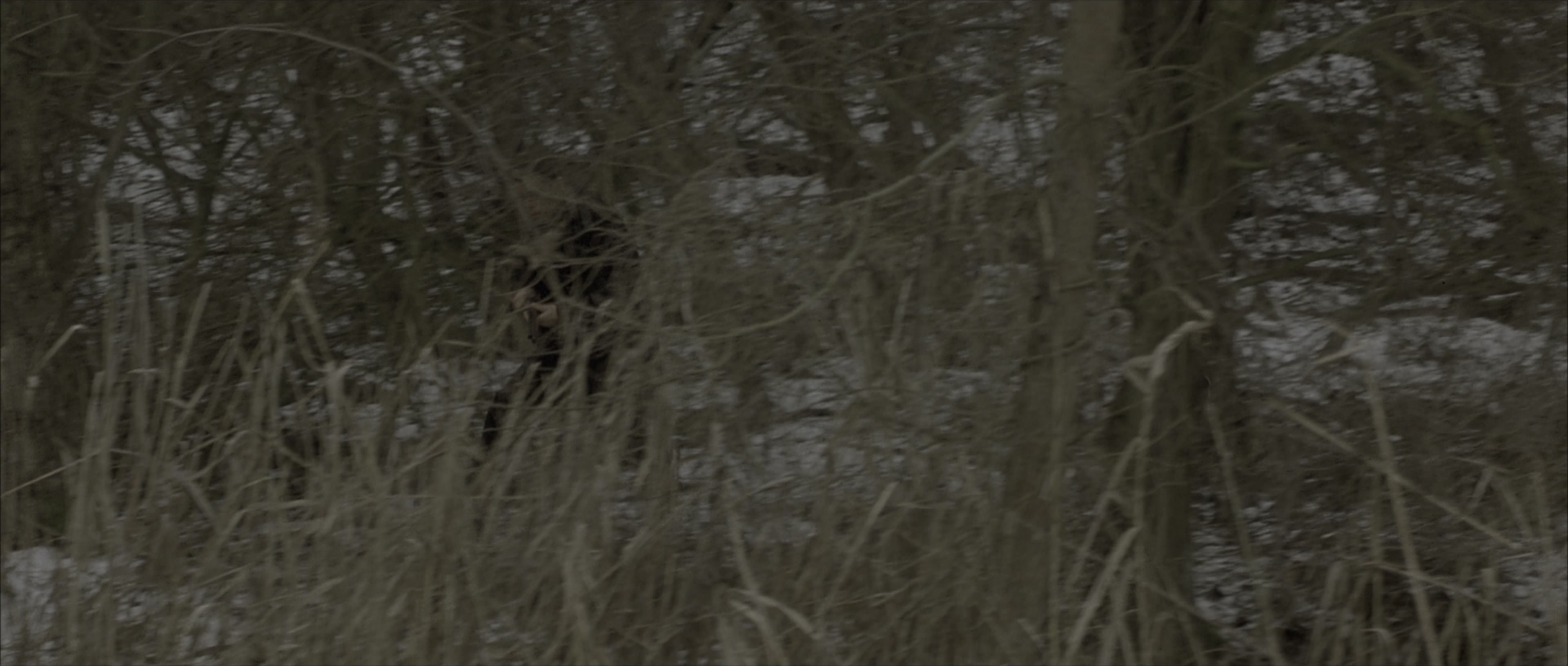 The Bourne Identity (2002), wide, 2.35:1 — film still
