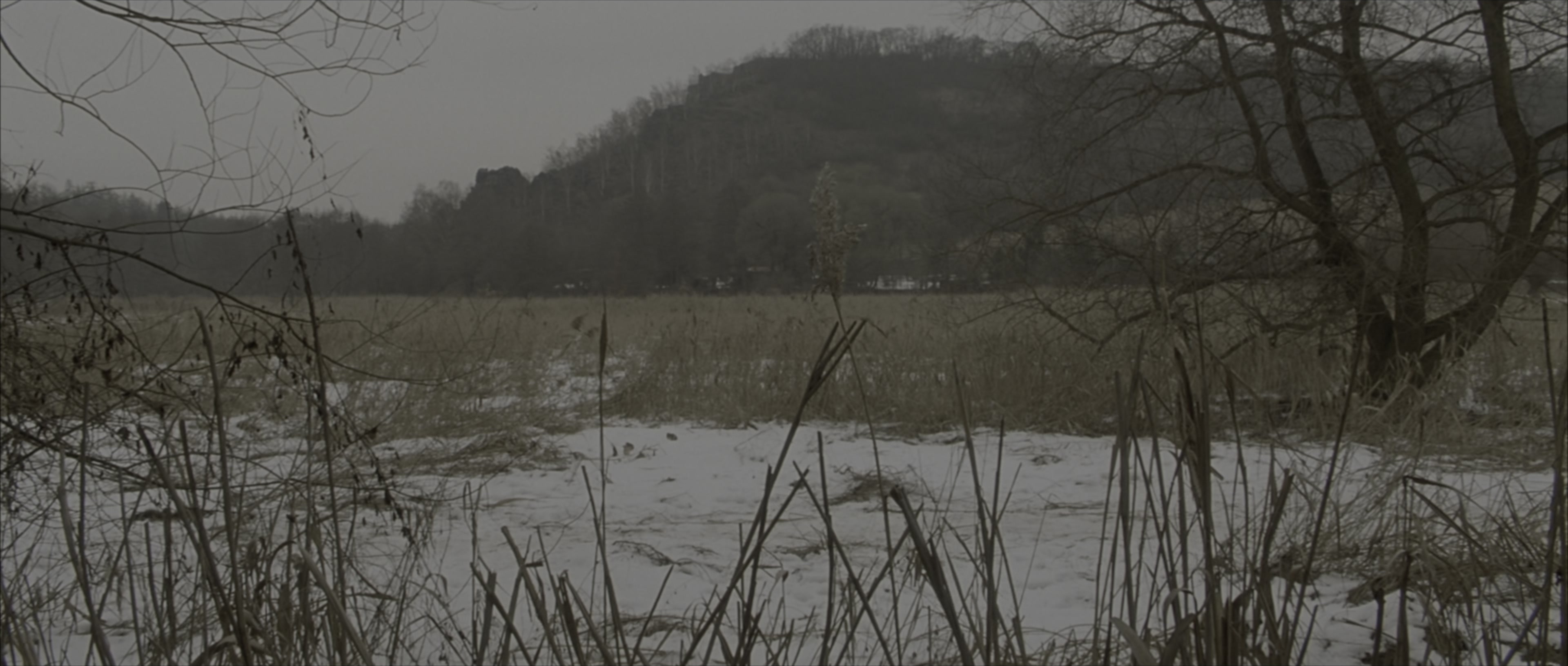 The Bourne Identity (2002), wide, 2.35:1 — film still