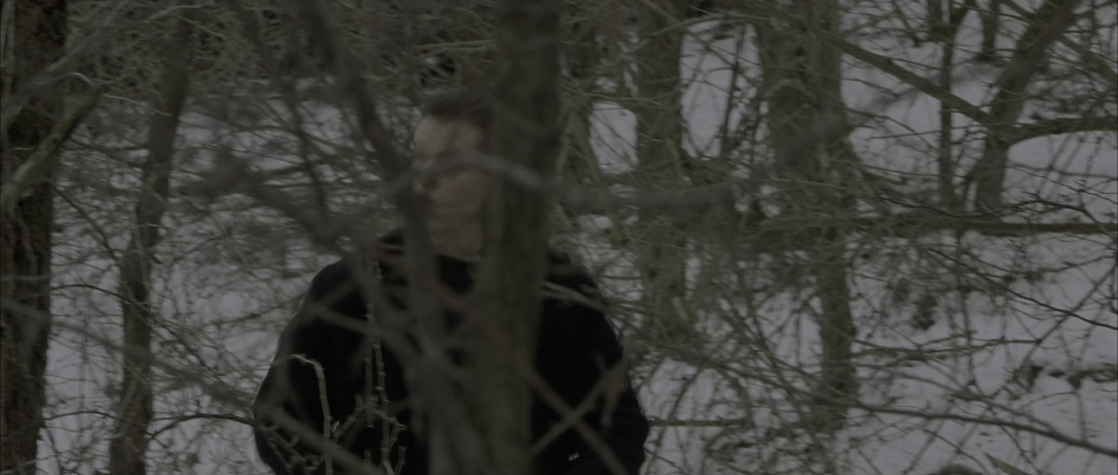 The Bourne Identity (2002), wide, 2.35:1 — film still