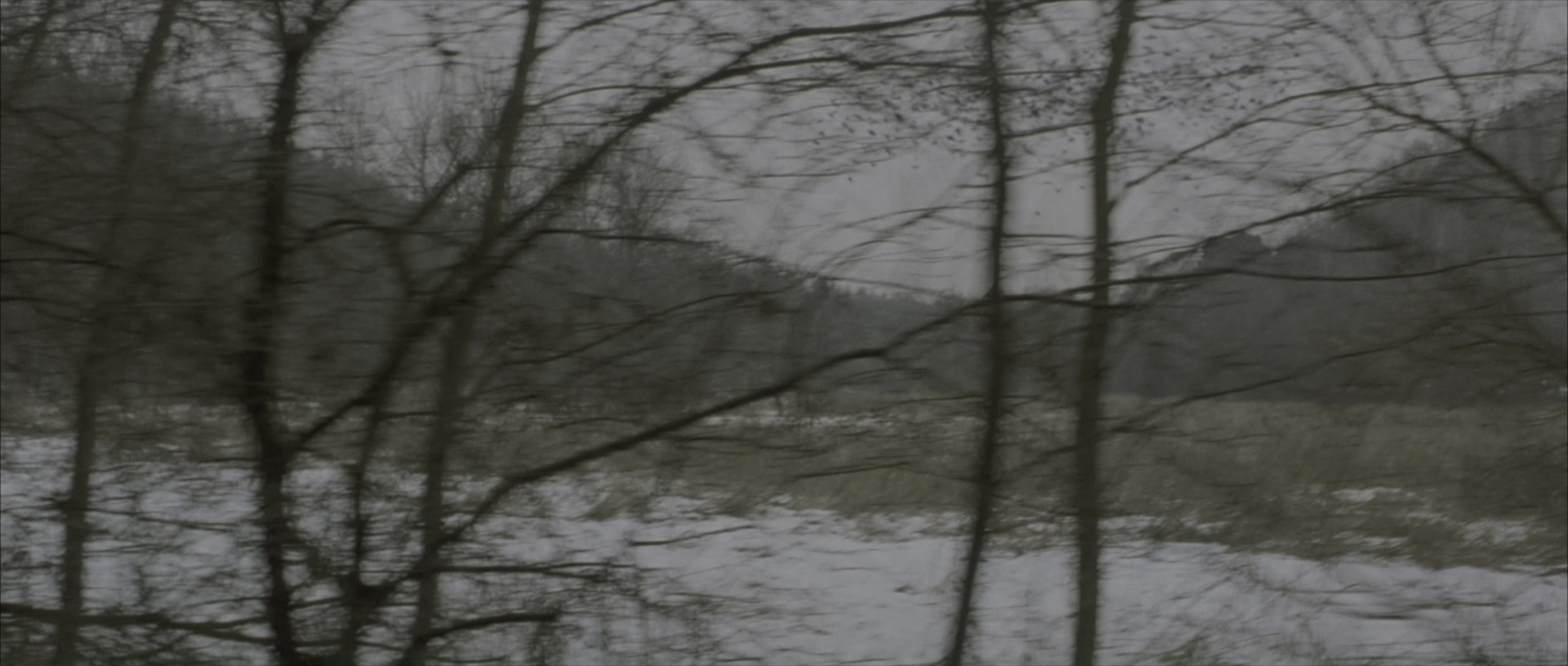 The Bourne Identity (2002), wide, 2.35:1 — film still