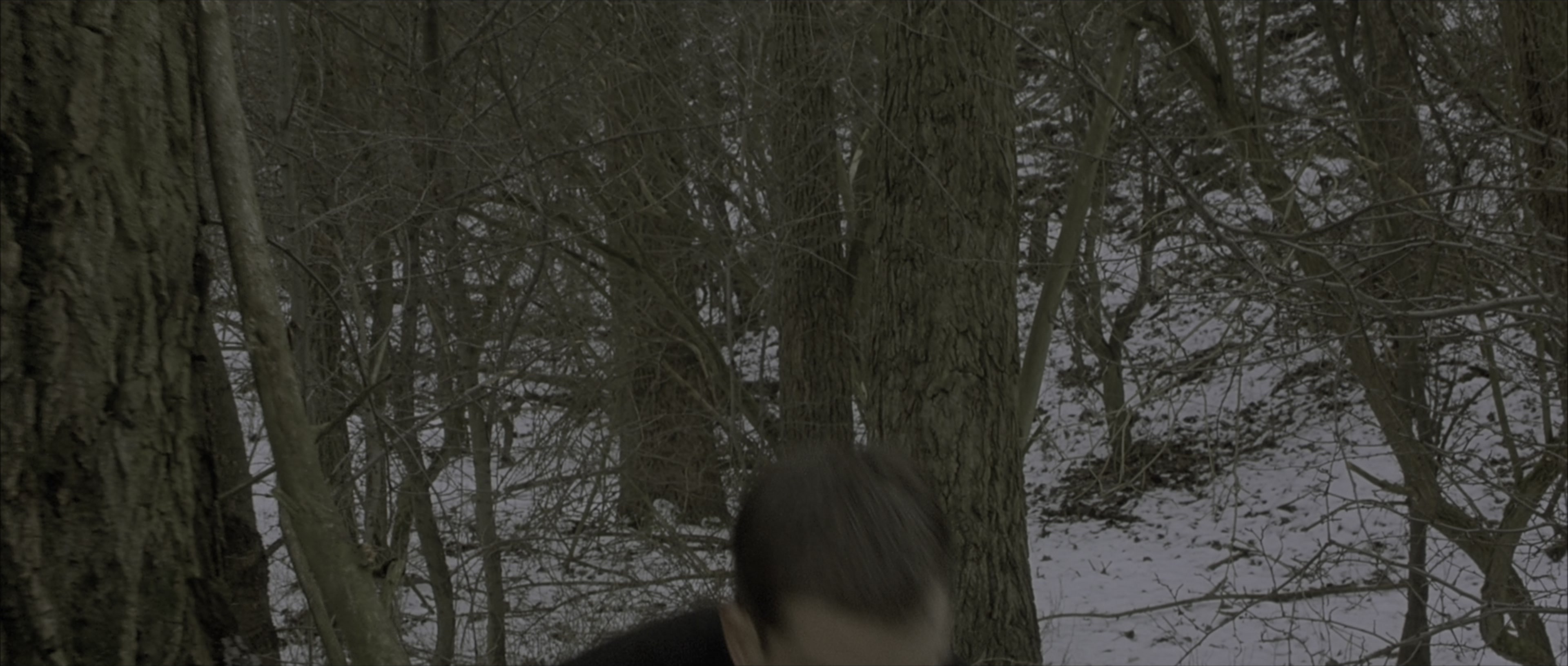 The Bourne Identity (2002), wide, 2.35:1 — film still