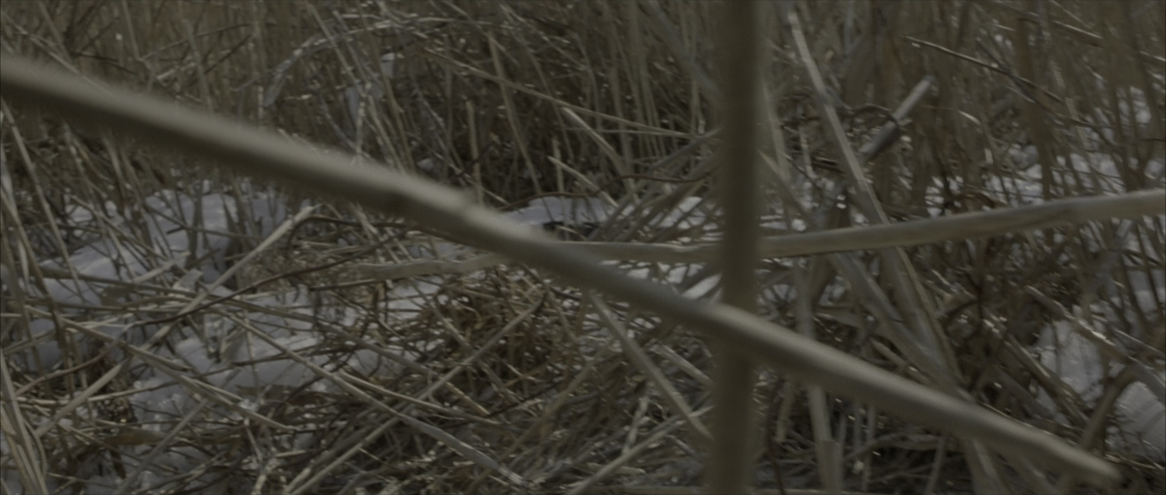 The Bourne Identity (2002), wide, 2.35:1 — film still