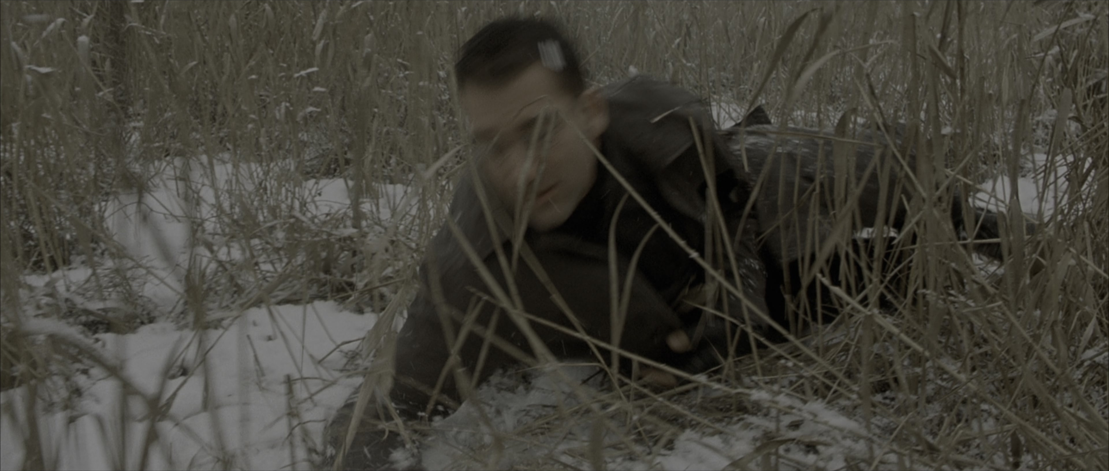 The Bourne Identity (2002), wide, 2.35:1 — film still