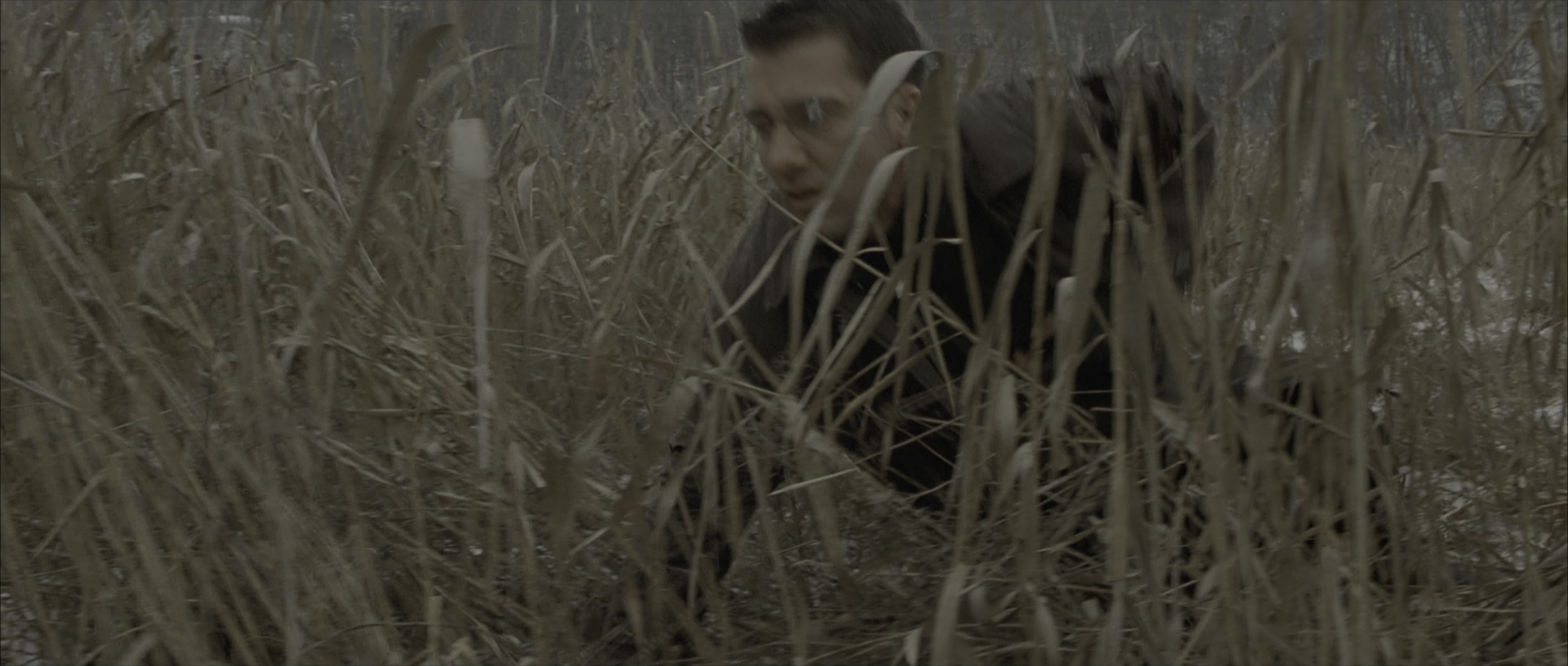 The Bourne Identity (2002), wide, 2.35:1 — film still