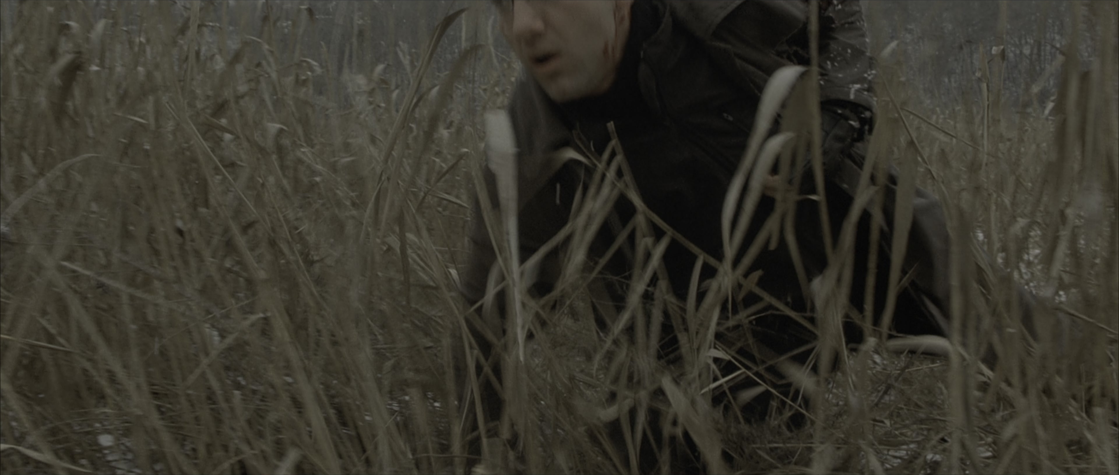 The Bourne Identity (2002), wide, 2.35:1 — film still