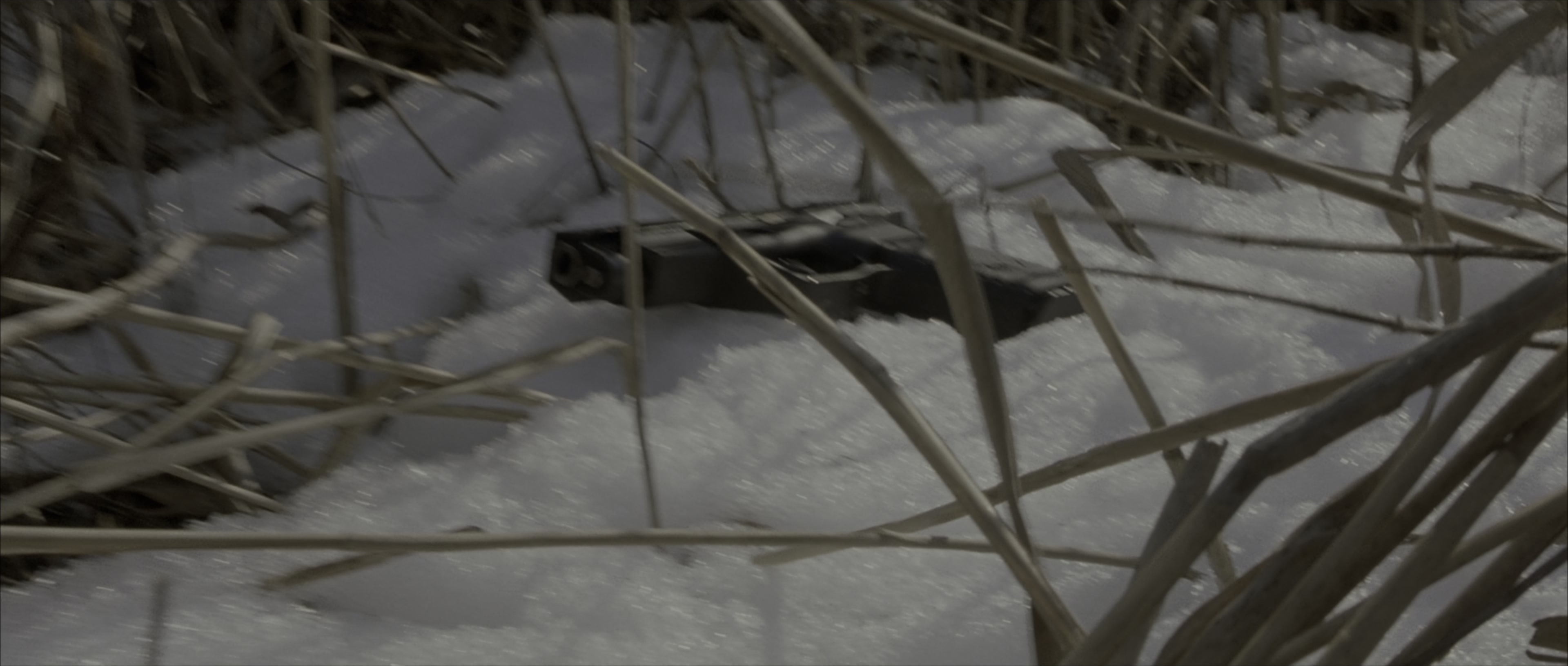 The Bourne Identity (2002), wide, 2.35:1 — film still