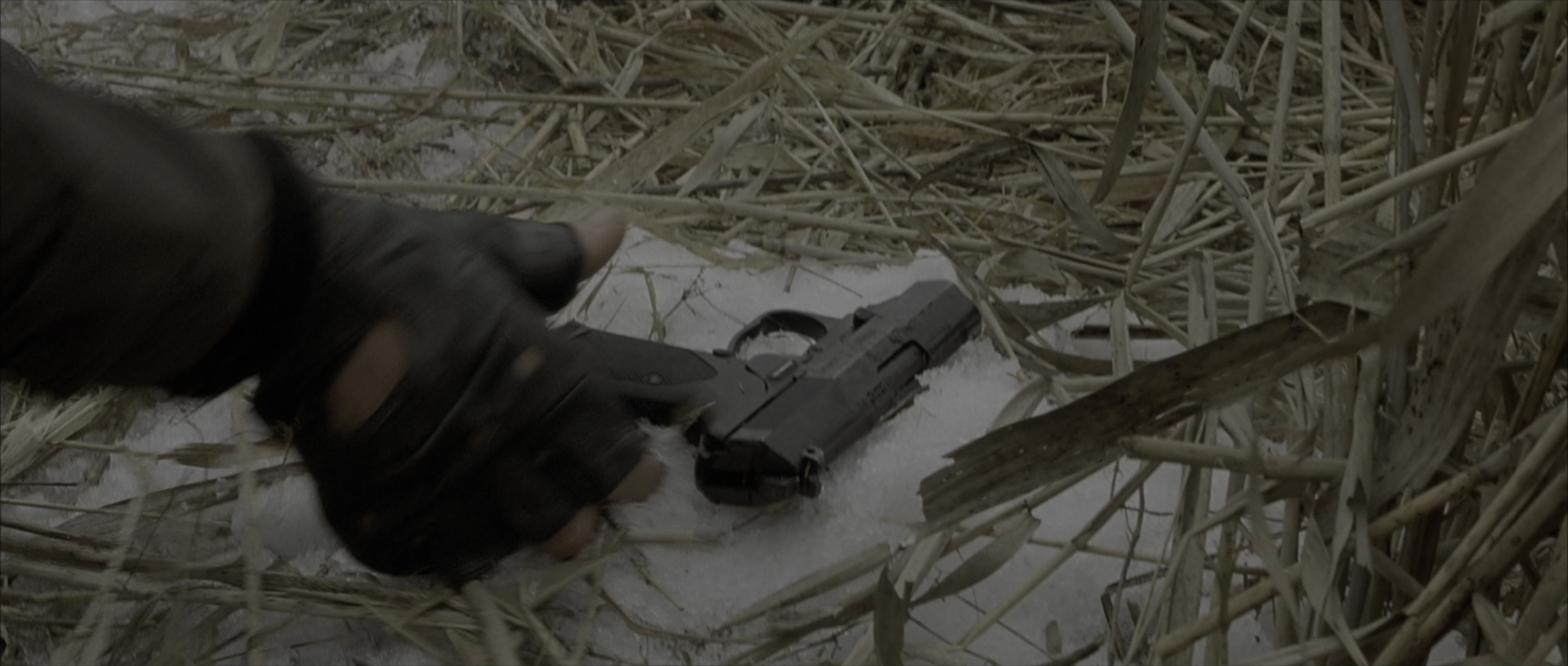 The Bourne Identity (2002), wide, 2.35:1 — film still