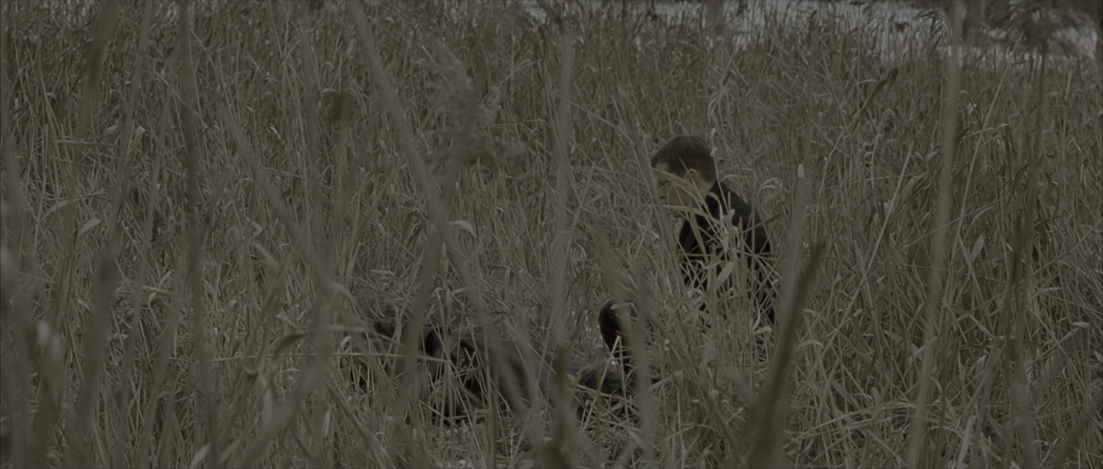 The Bourne Identity (2002), wide, 2.35:1 — film still