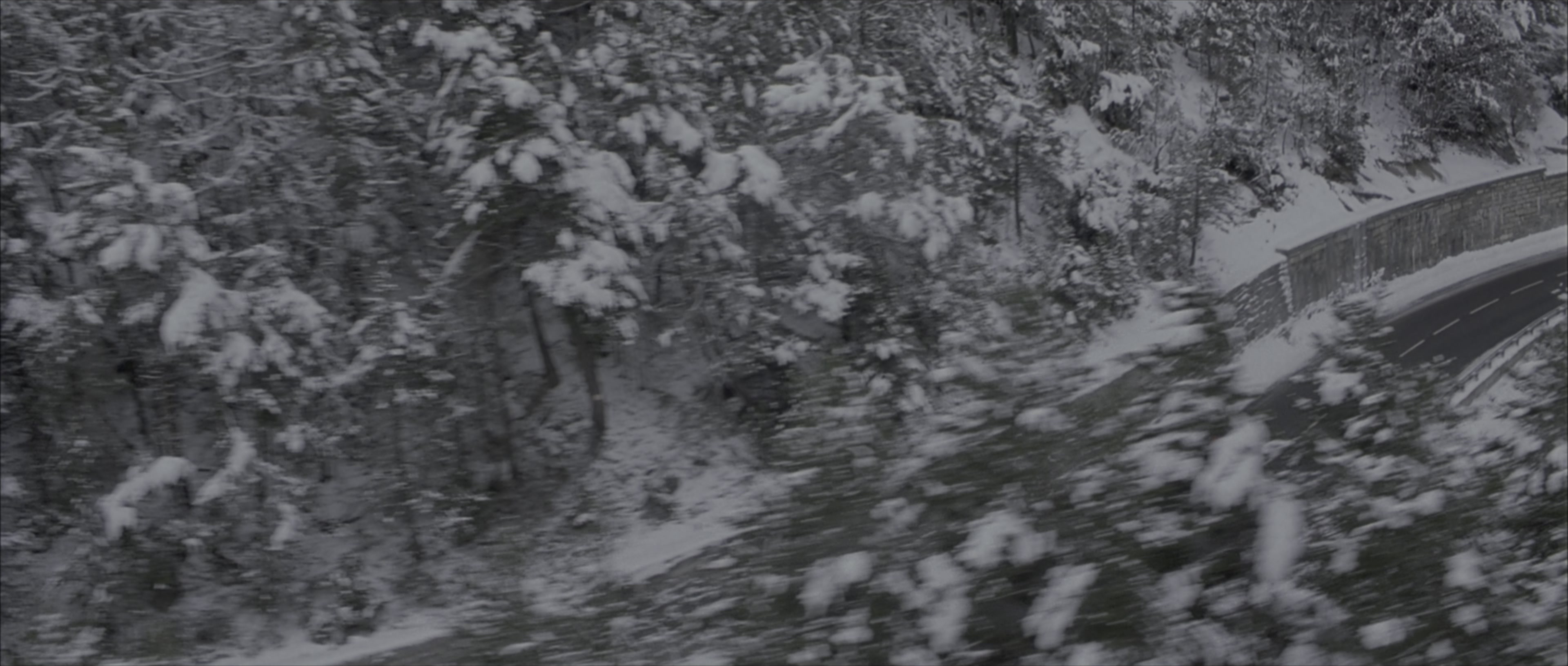 The Bourne Identity (2002), wide, 2.35:1 — film still