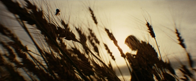 Frame from The Assassination of Jesse James by the Coward Robert Ford — bird
