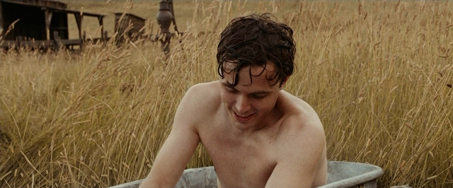 Wide shot frame from The Assassination of Jesse James by the Coward Robert Ford — sitting, hair, bird