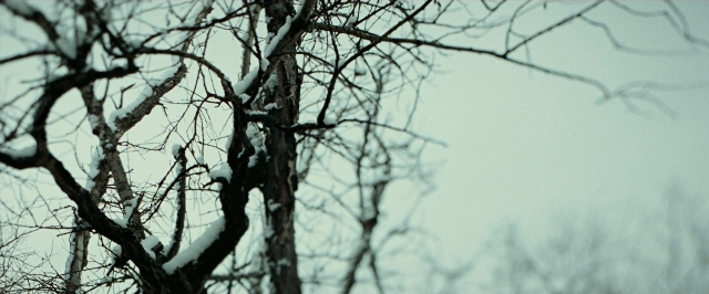 Wide shot frame from The Assassination of Jesse James by the Coward Robert Ford — bird, snow
