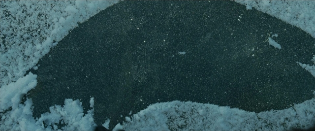 seria-5903856.jpg