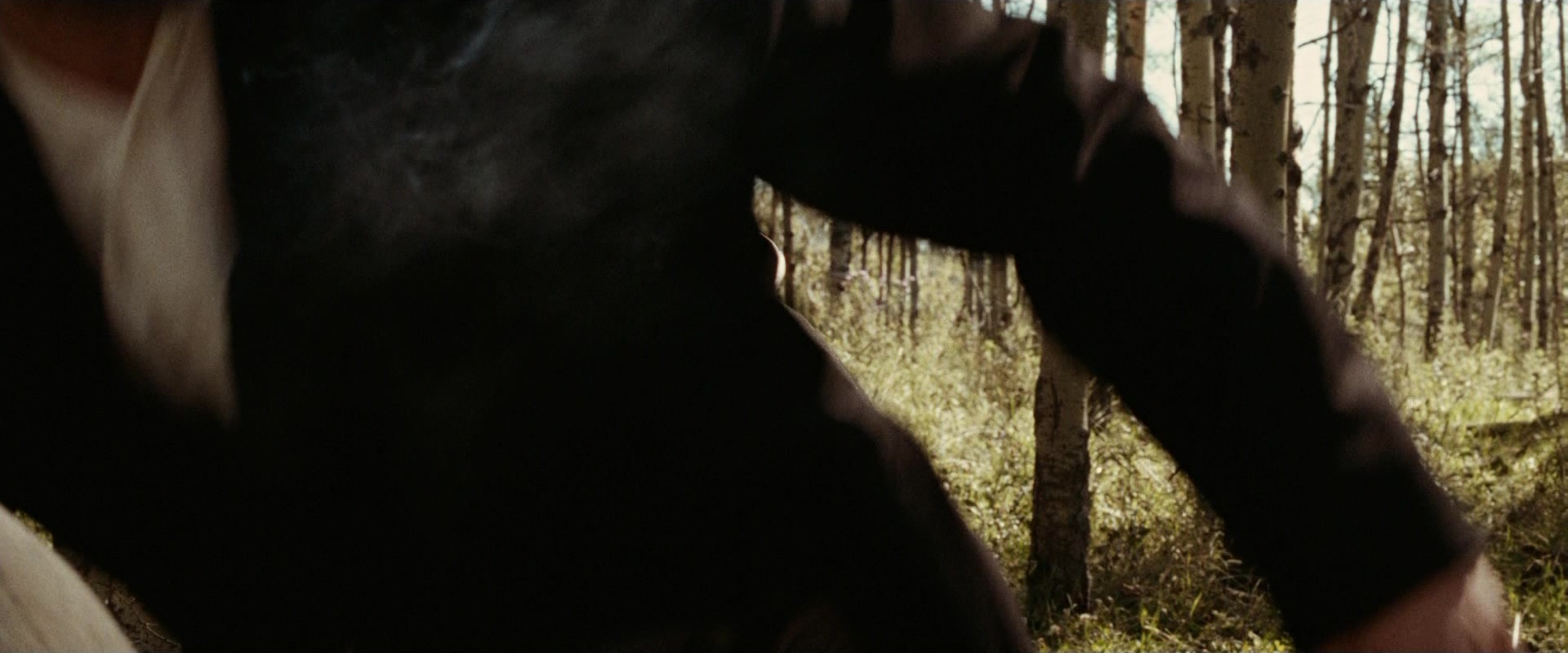 The Assassination of Jesse James by the Coward Robert Ford (2007), wide, 2.40:1 — film still