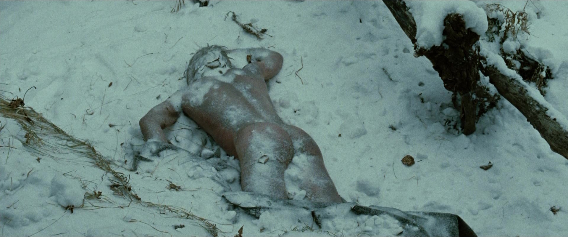 The Assassination of Jesse James by the Coward Robert Ford (2007), wide, 2.40:1 — film still