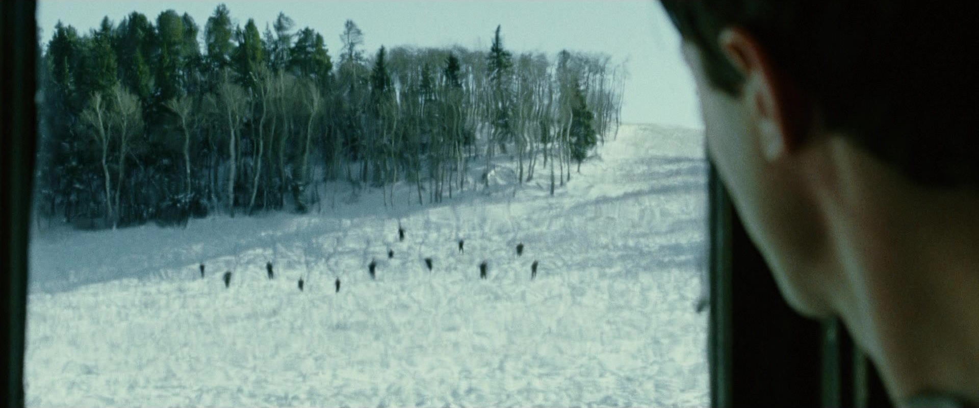 The Assassination of Jesse James by the Coward Robert Ford (2007), wide, 2.40:1 — film still