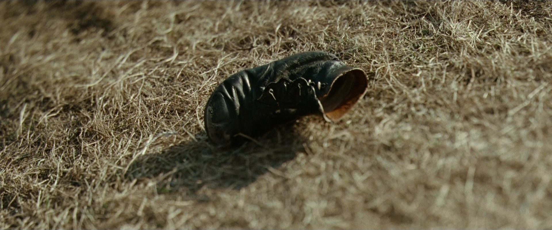 The Assassination of Jesse James by the Coward Robert Ford (2007), wide, 2.40:1 — film still