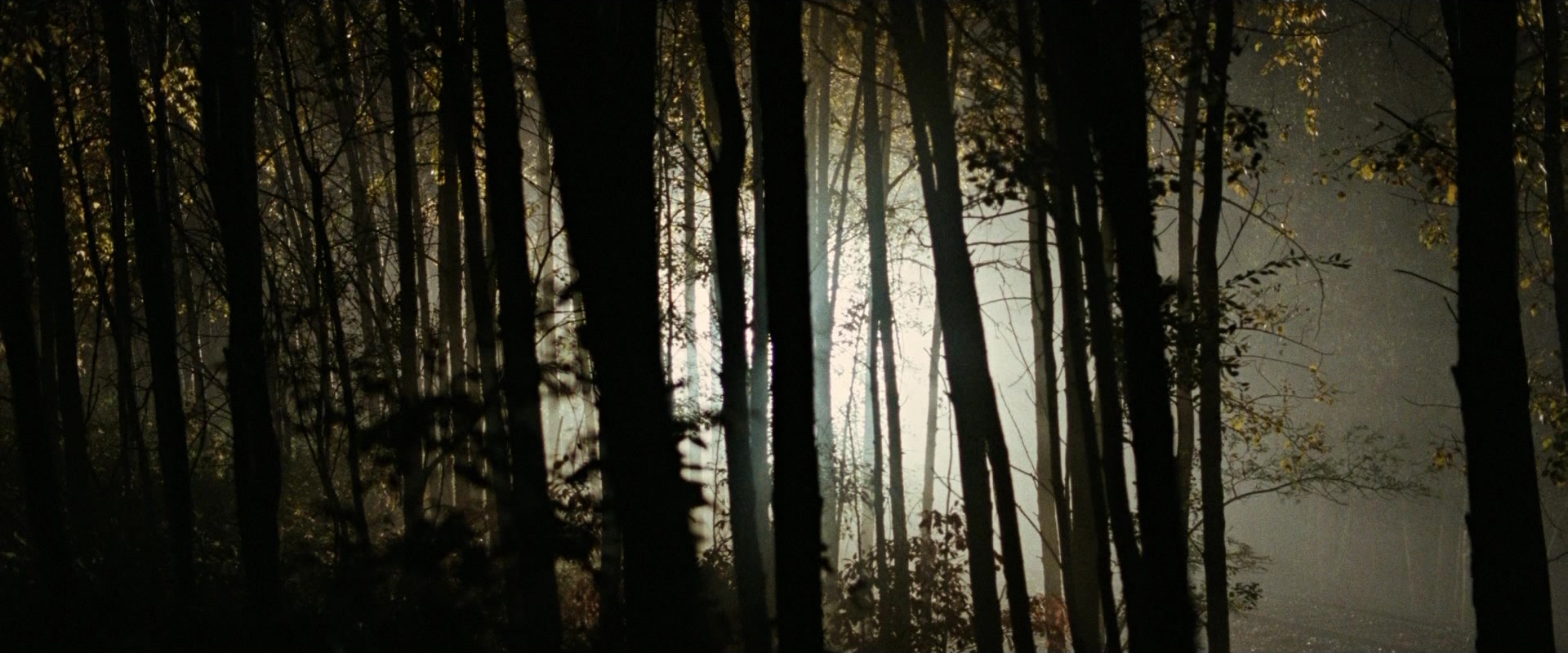 The Assassination of Jesse James by the Coward Robert Ford (2007), wide, 2.40:1 — film still