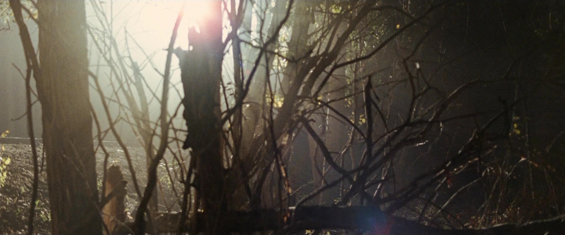 The Assassination of Jesse James by the Coward Robert Ford (2007), wide, 2.40:1 — film still
