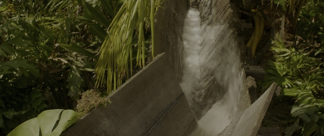 Wide shot frame from Jungle Cruise — water, fountain