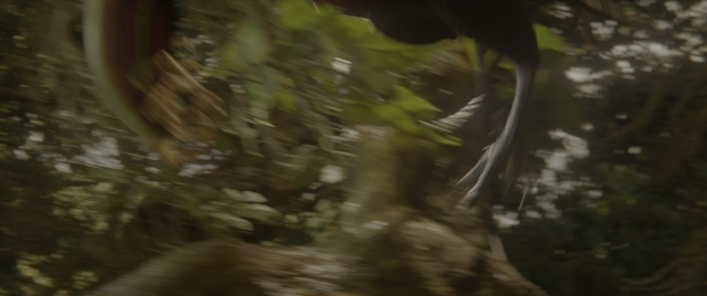 Wide shot frame from Jungle Cruise — bird