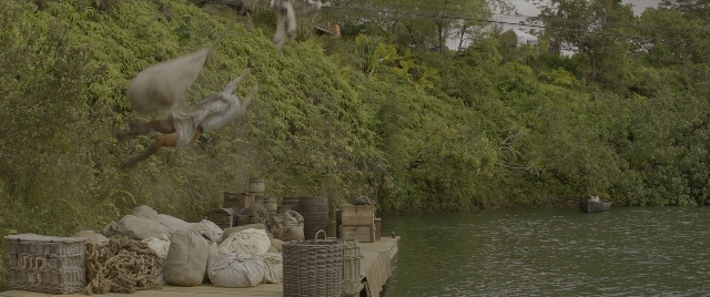 Wide shot frame from Jungle Cruise — water, boat, bird