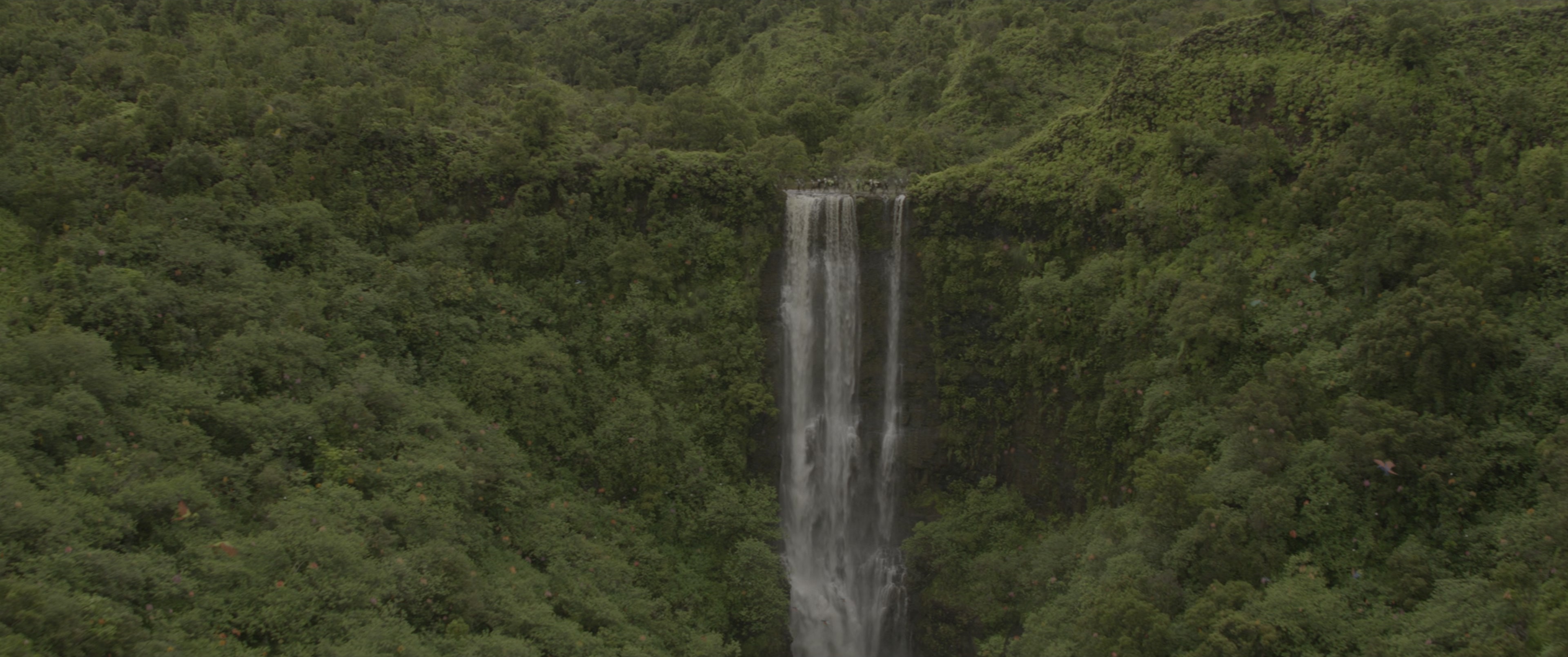 Jungle Cruise (2021), wide, 2.39:1 — film still
