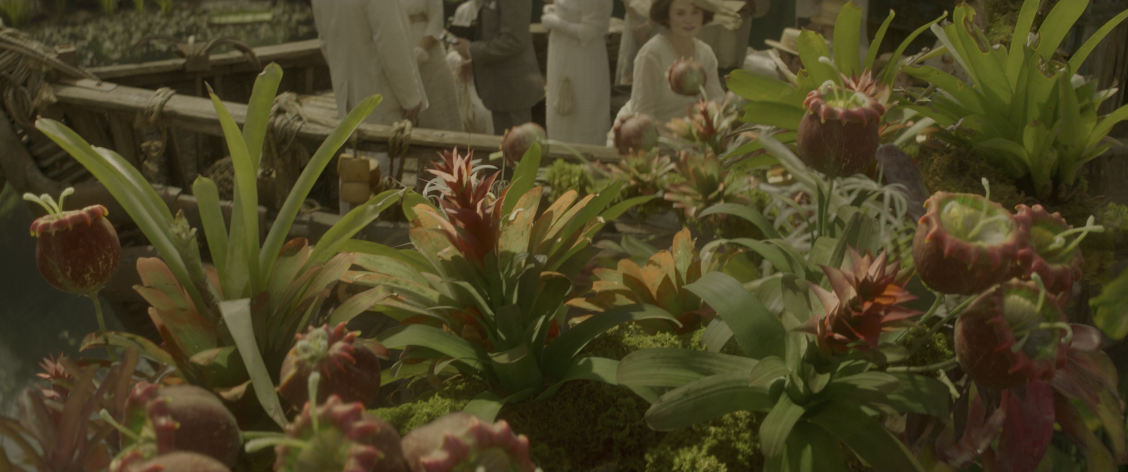 Jungle Cruise (2021), wide, 2.39:1 — film still