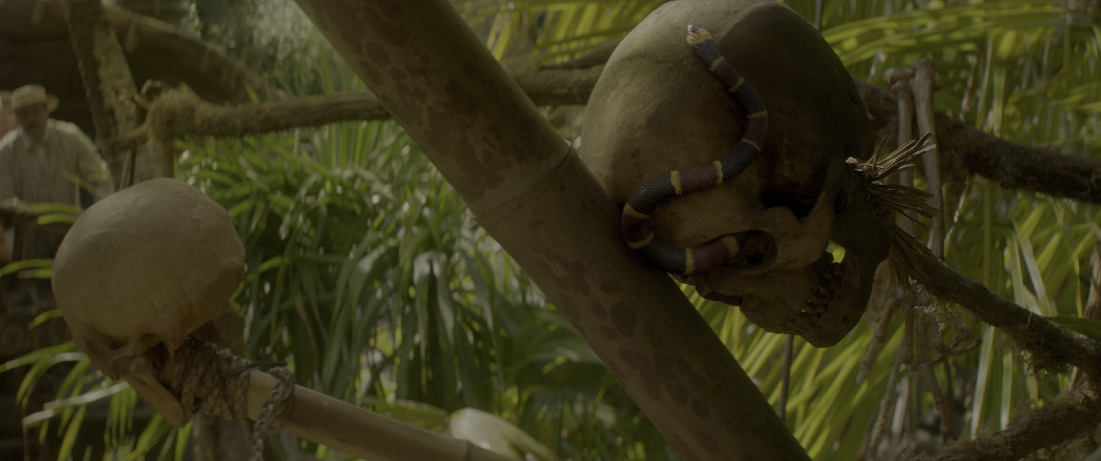 Jungle Cruise (2021), wide, 2.39:1 — film still