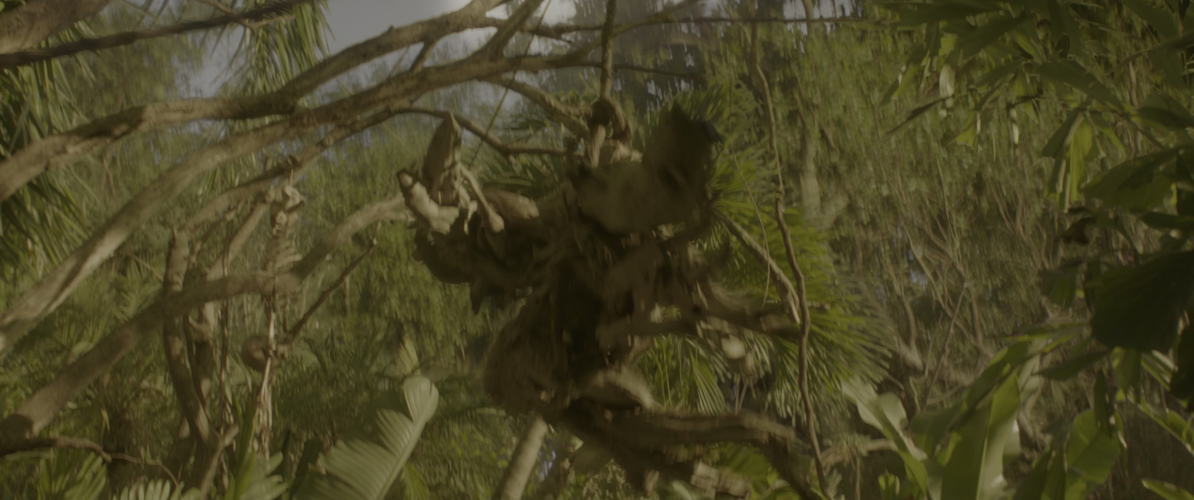 Jungle Cruise (2021), wide, 2.39:1 — film still