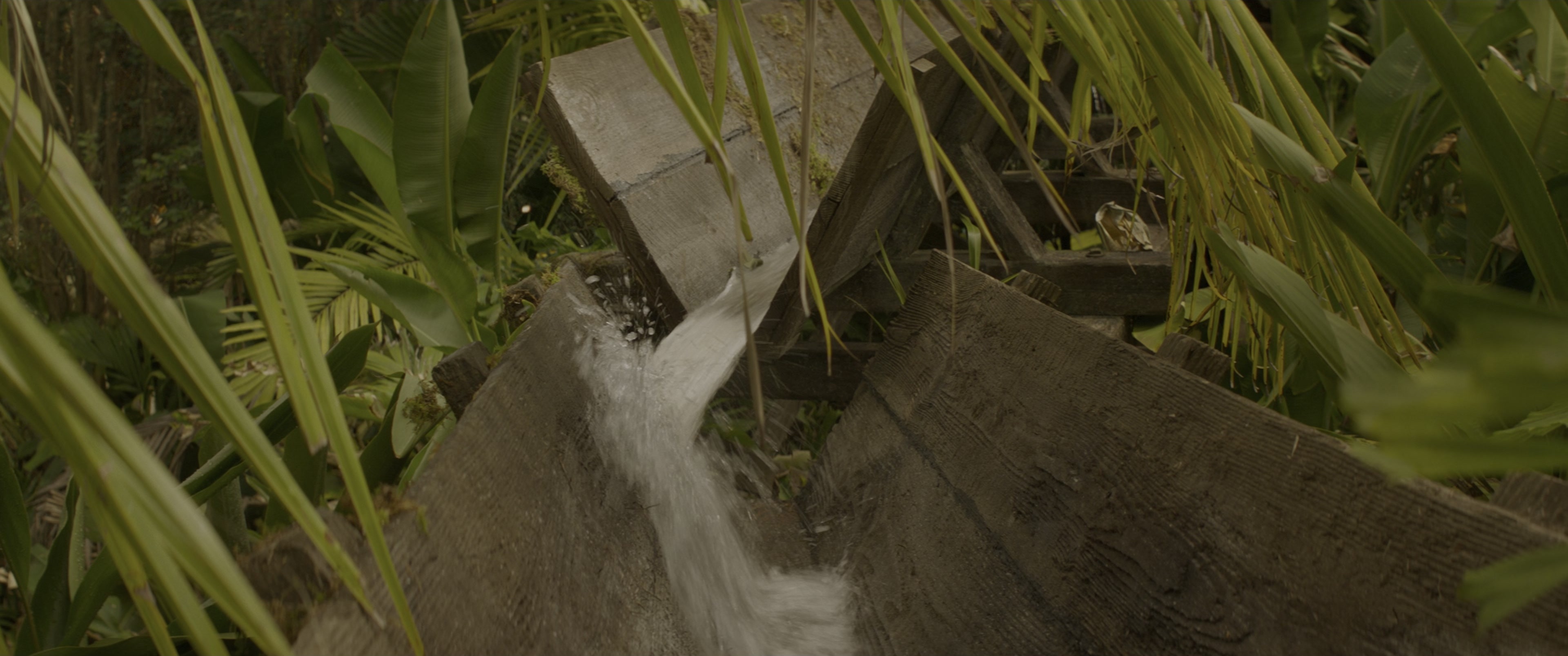 Jungle Cruise (2021), wide, 2.39:1 — film still