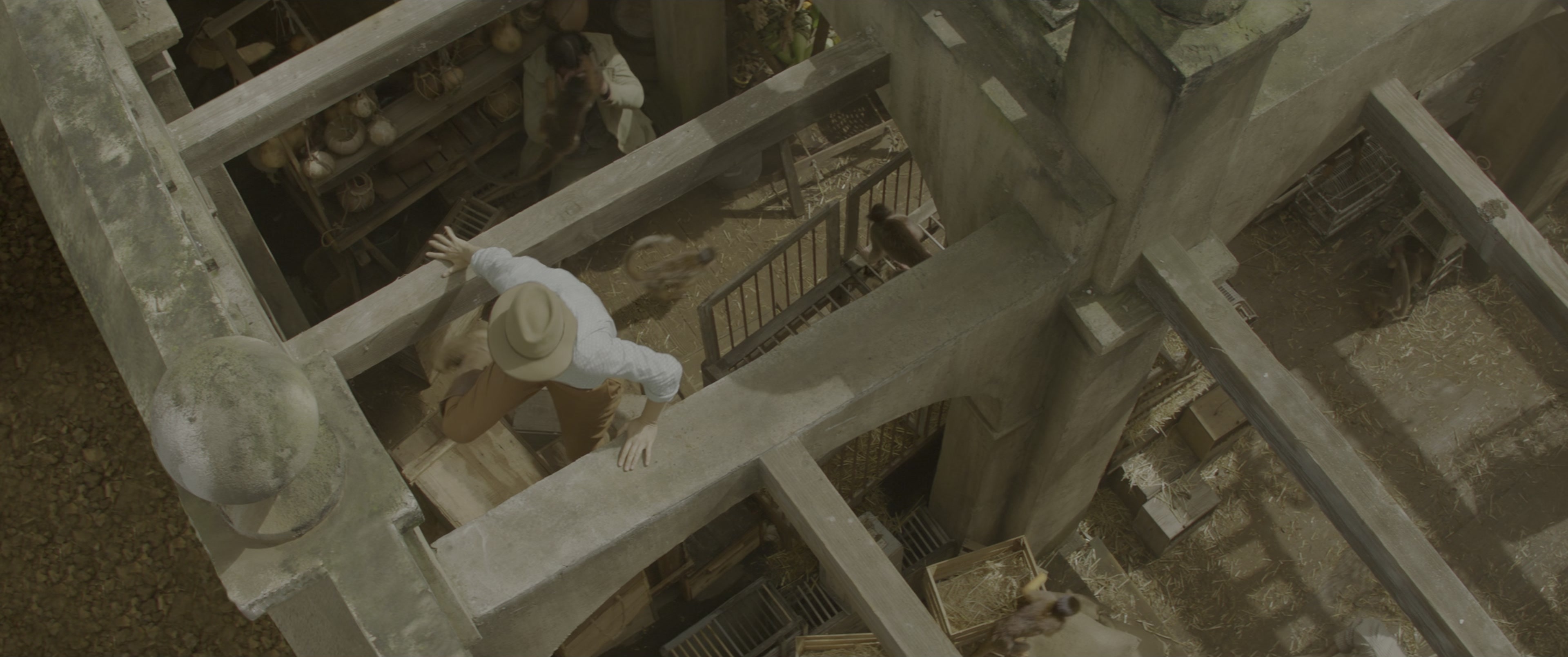 Jungle Cruise (2021), wide, 2.39:1 — film still