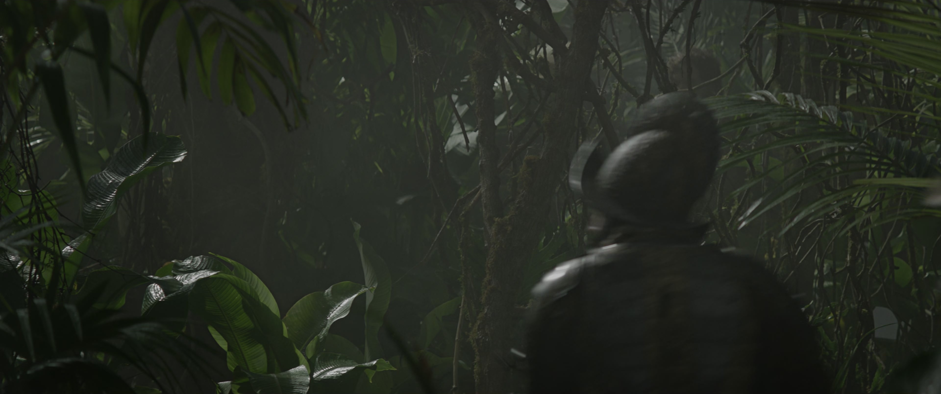 Jungle Cruise (2021), wide, 2.39:1 — film still